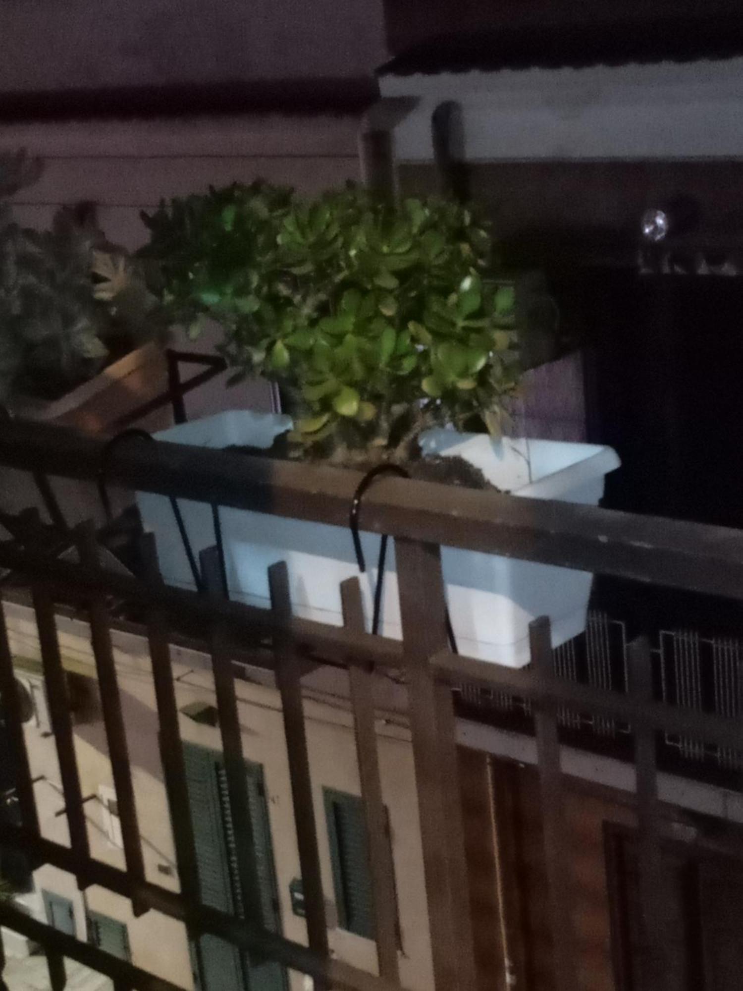Casa Alice Ξενοδοχείο Isola delle Femmine Εξωτερικό φωτογραφία